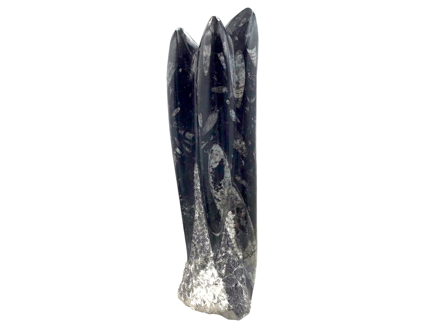 Steinfixx® Prächtige Orthoceras Skulptur mit echten Fossilien I ca. 23x7x5cm I ca. 1200 gr. I Marokko