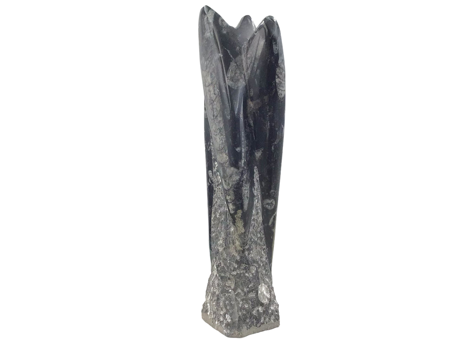 Steinfixx® Prächtige Orthoceras Skulptur mit echten Fossilien I ca. 23x7x5cm I ca. 1200 gr. I Marokko