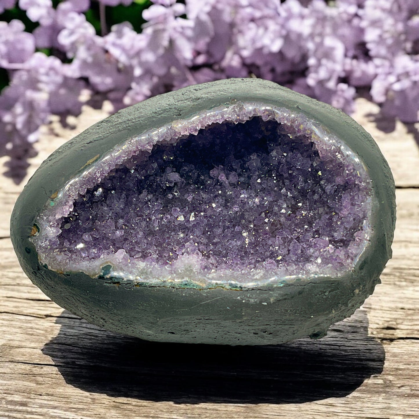 Amethyst Druse Minidruse mit phantastischen Kristallen I 0,95 KG I 10x12x9cm I Blickfang I Unikat 1604 I Brasilien