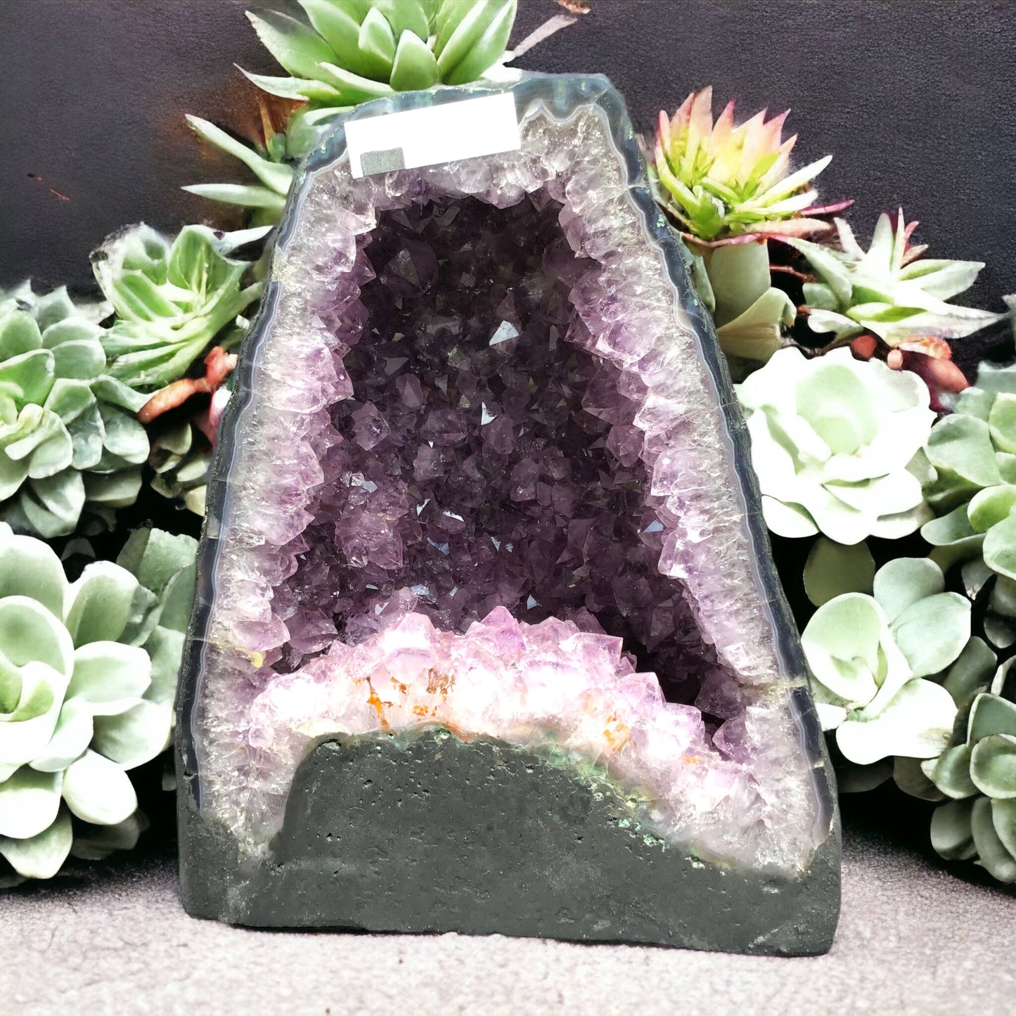 Amethyst Druse mit phantastischen Kristallen I 5,10 KG I 18x12x22cm I Blickfang I Unikat 1471 I Brasilien