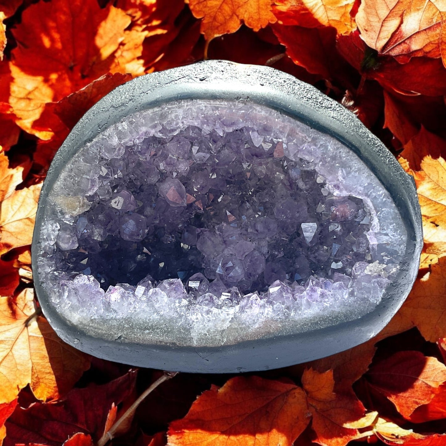 Amethyst Druse Minidruse mit phantastischen Kristallen I 1,20 KG I 10x12,5x10cm I Blickfang I Unikat 1605 I Brasilien