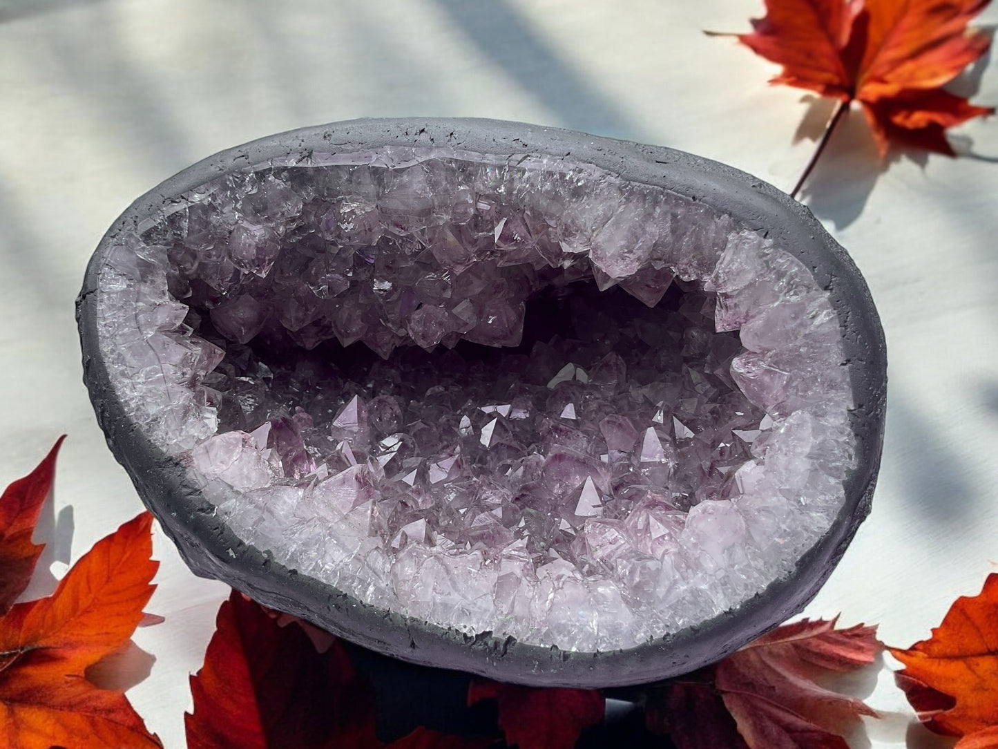 Amethyst Druse Minidruse mit phantastischen Kristallen I 1,25 KG I 12x15x10cm I Blickfang I Unikat 1606 I Brasilien