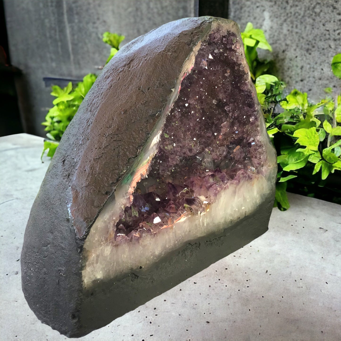 Amethyst Druse mit phantastischen Kristallen I 5,85 KG I 24x14x19 cm I Blickfang I Unikat 1475 I Brasilien